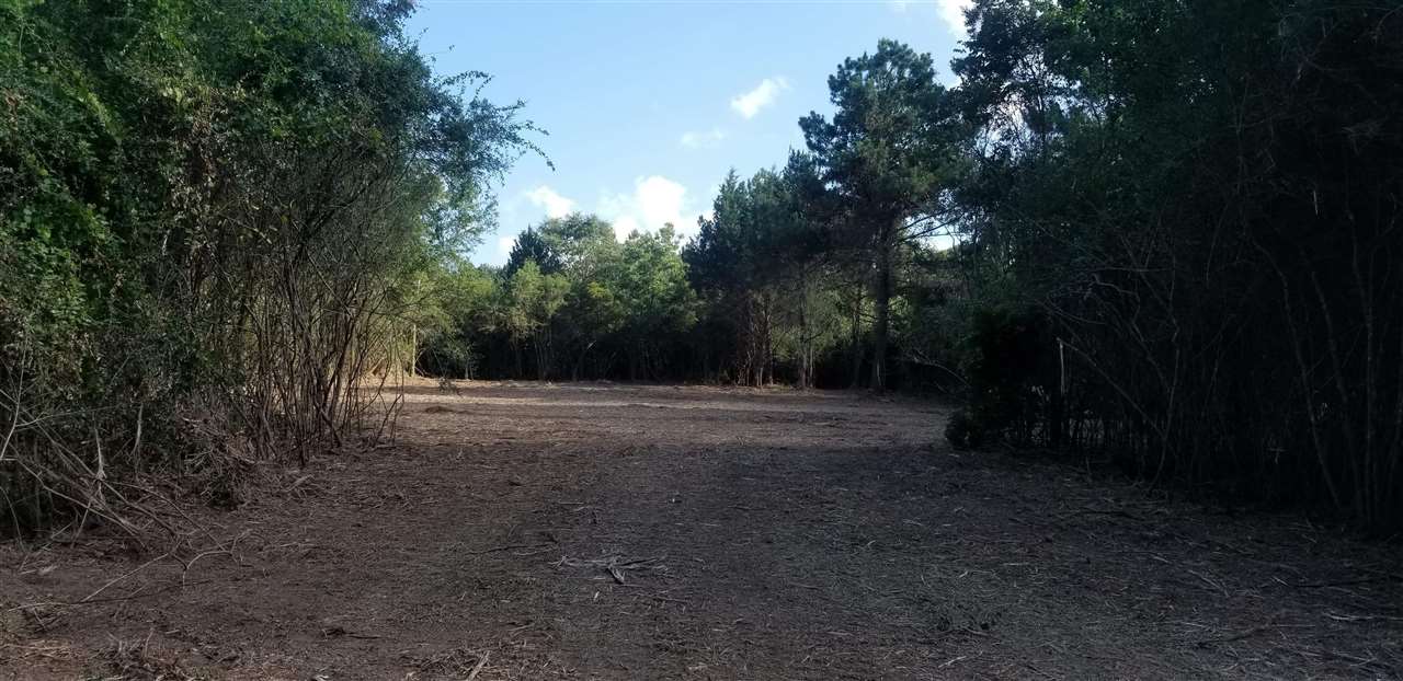 25444 Patterson Road Robertsdale, AL 36567 - Photo 2 of 2