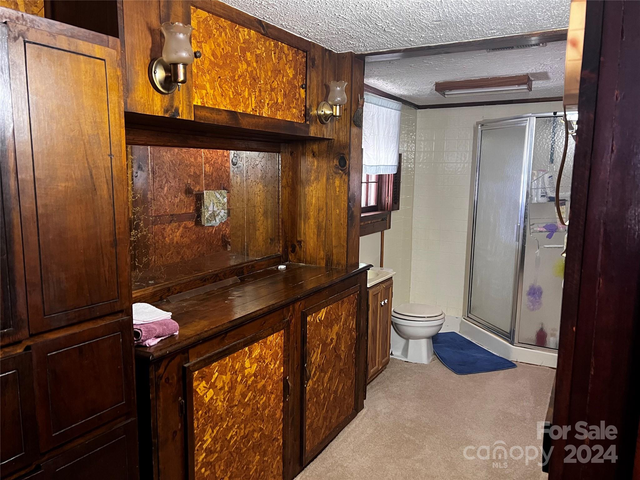 655 Lippard Road Salisbury, NC 28146 - Photo 16 of 18 a bathroom with a sink toilet and shower