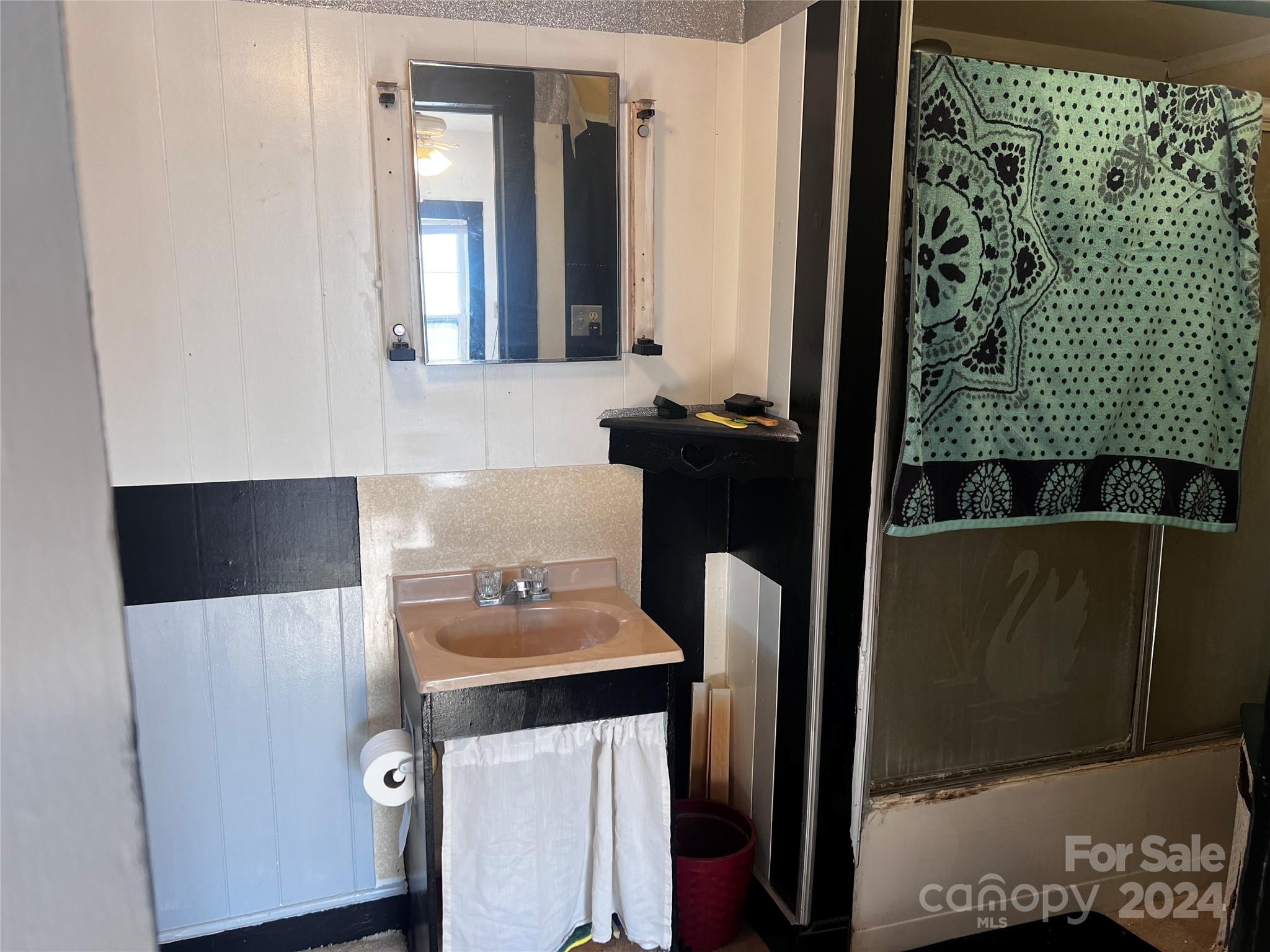 655 Lippard Road Salisbury, NC 28146 - Photo 18 of 18 a bathroom with a sink and a mirror
