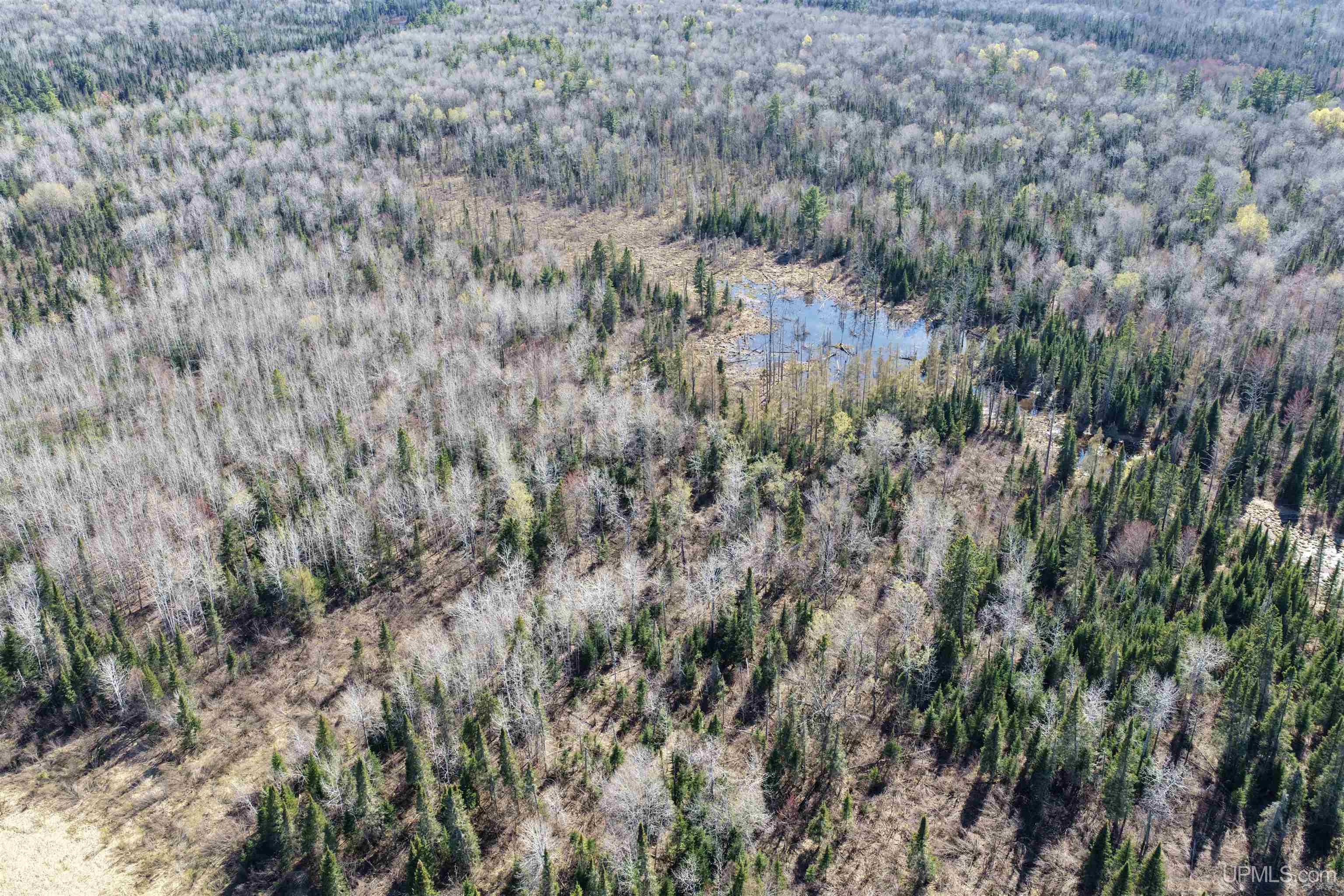 Tbd Tbd Burma Road Ewen, MI 49925 - Photo 10 of 18