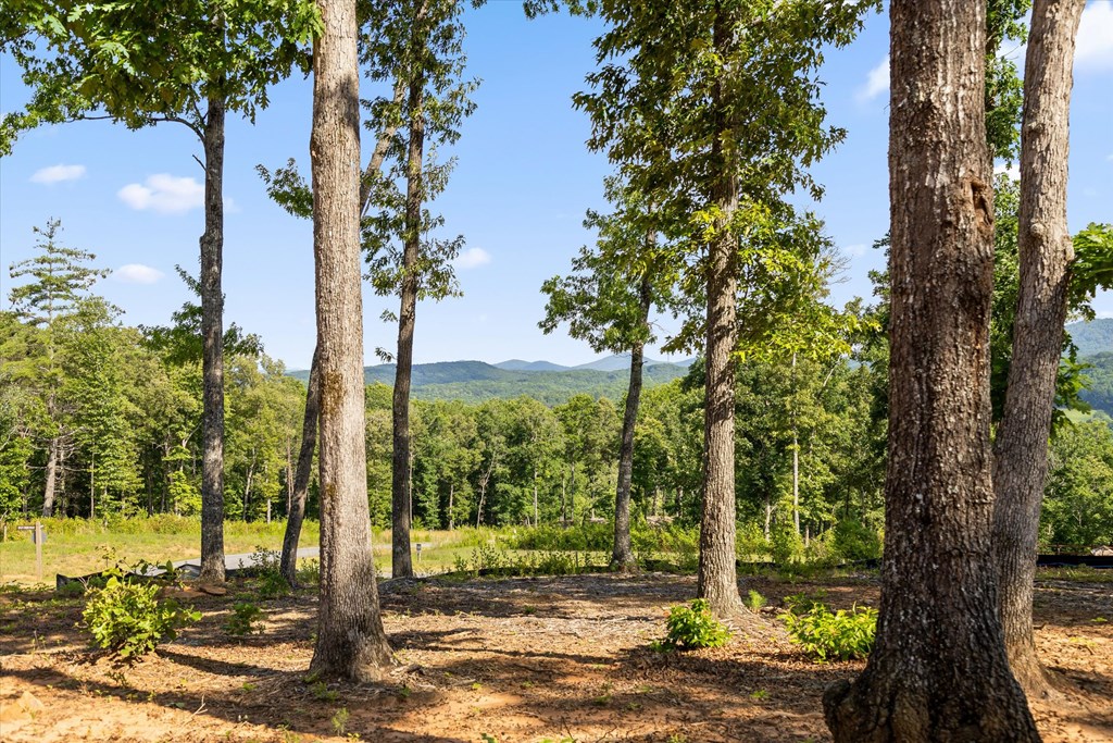 Lot 85 Split Creek Road Morganton, GA 30560 - Photo 2 of 23