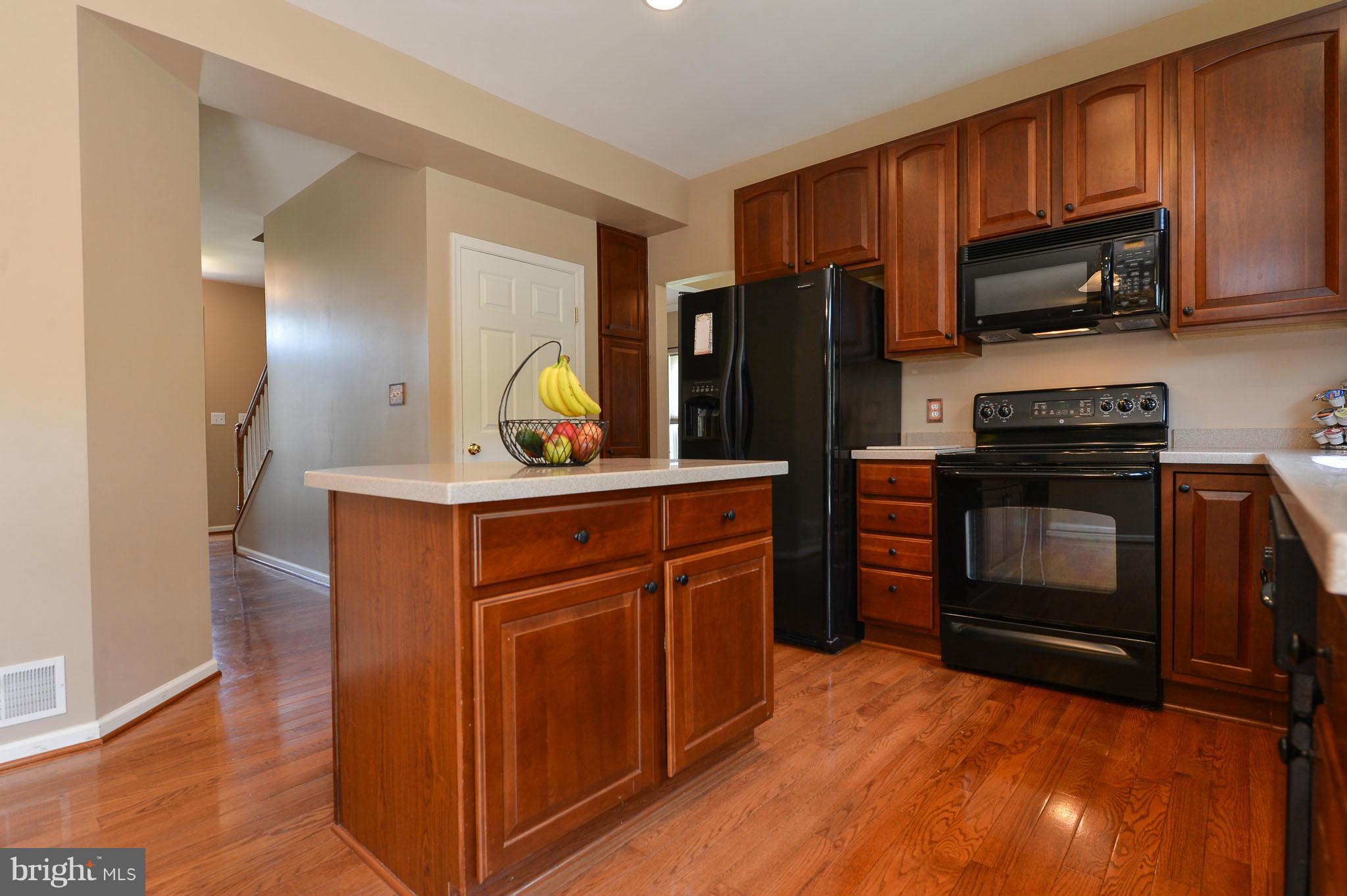 312 Stone Run Drive Rising Sun, MD 21911 - Photo 3 of 21 Kitchen