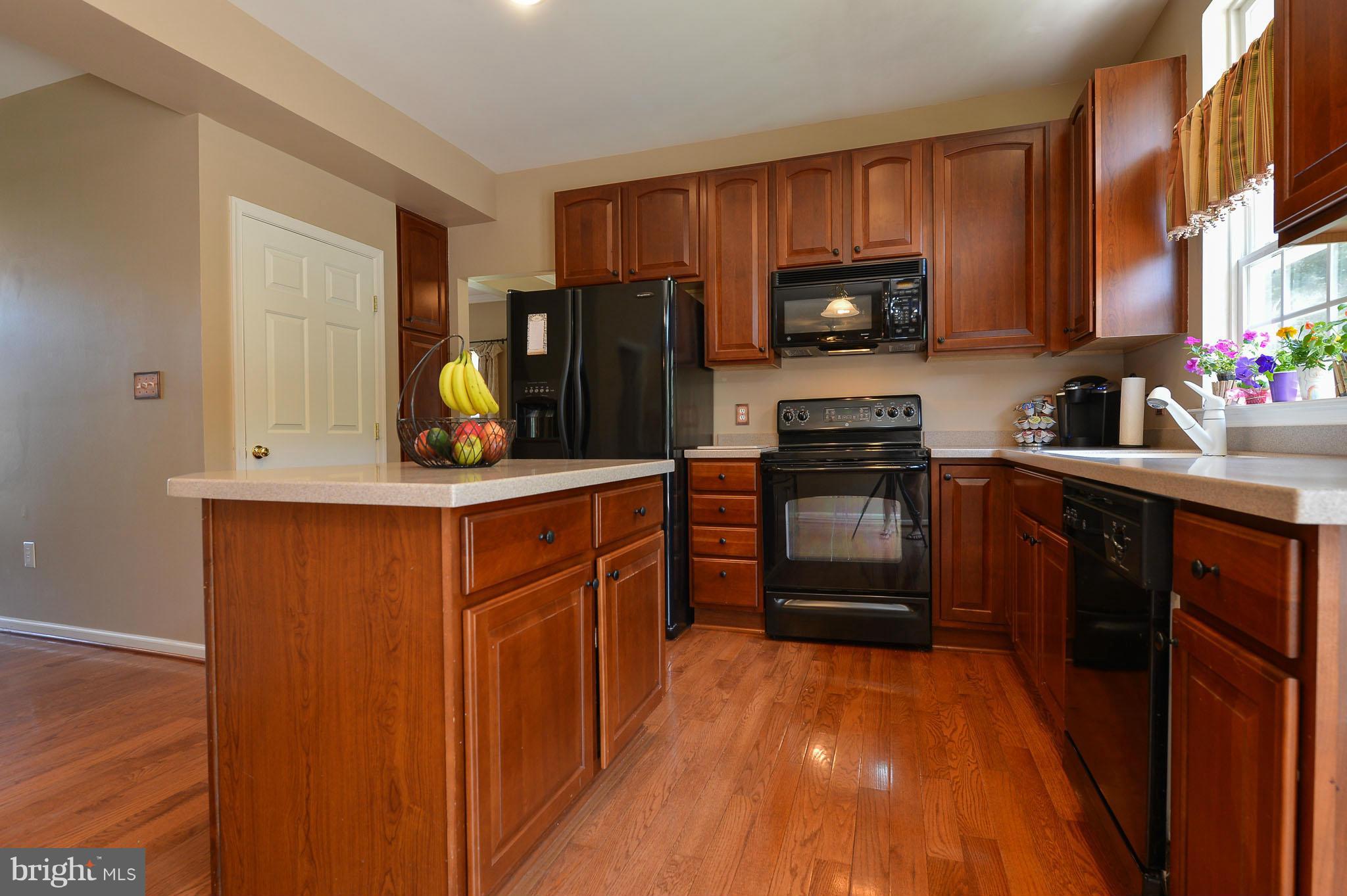 312 Stone Run Drive Rising Sun, MD 21911 - Photo 4 of 21 Kitchen