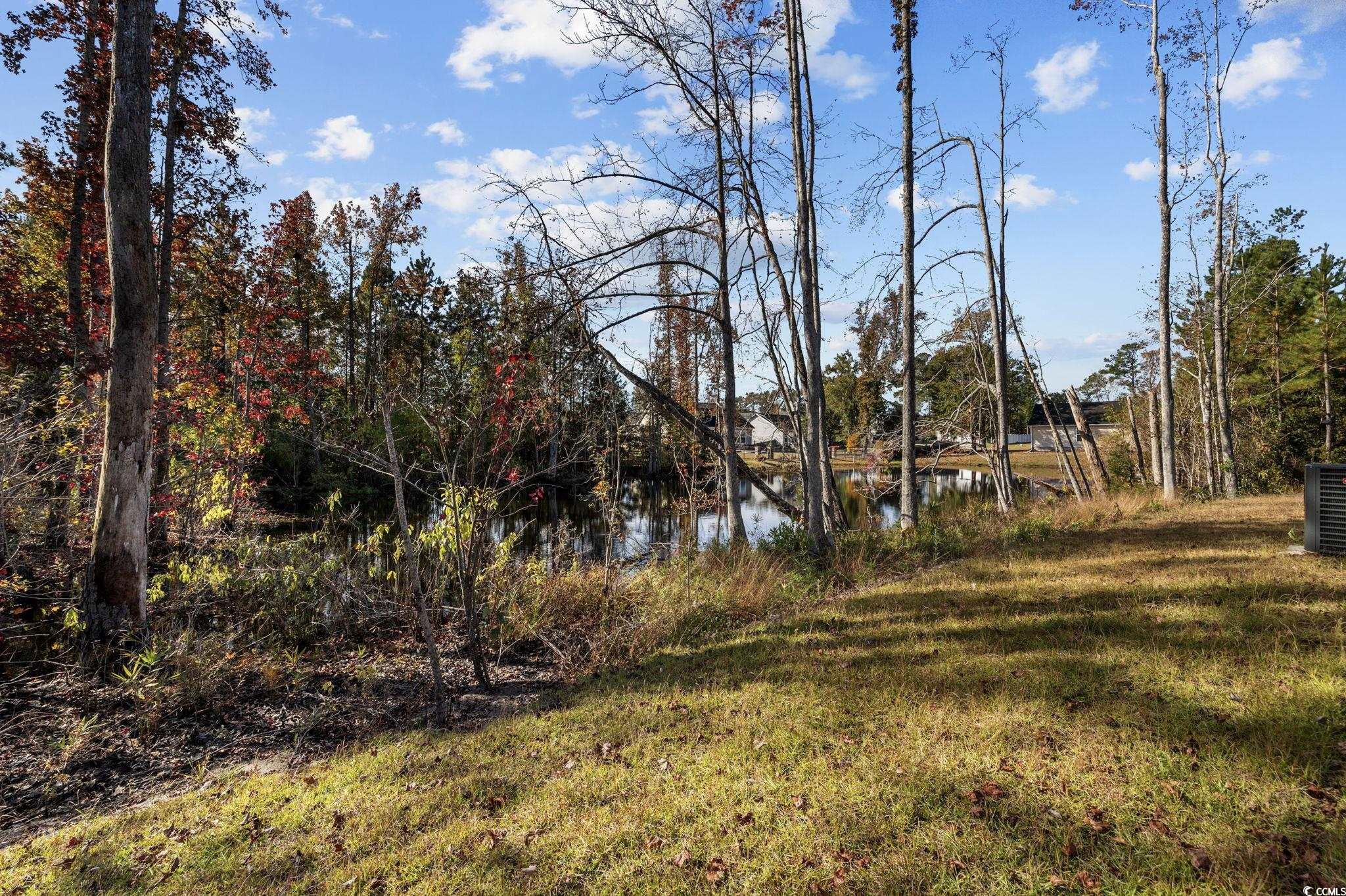 516 Shadow Court Loris, SC 29569 - Photo 4 of 33 Gallery Image 4