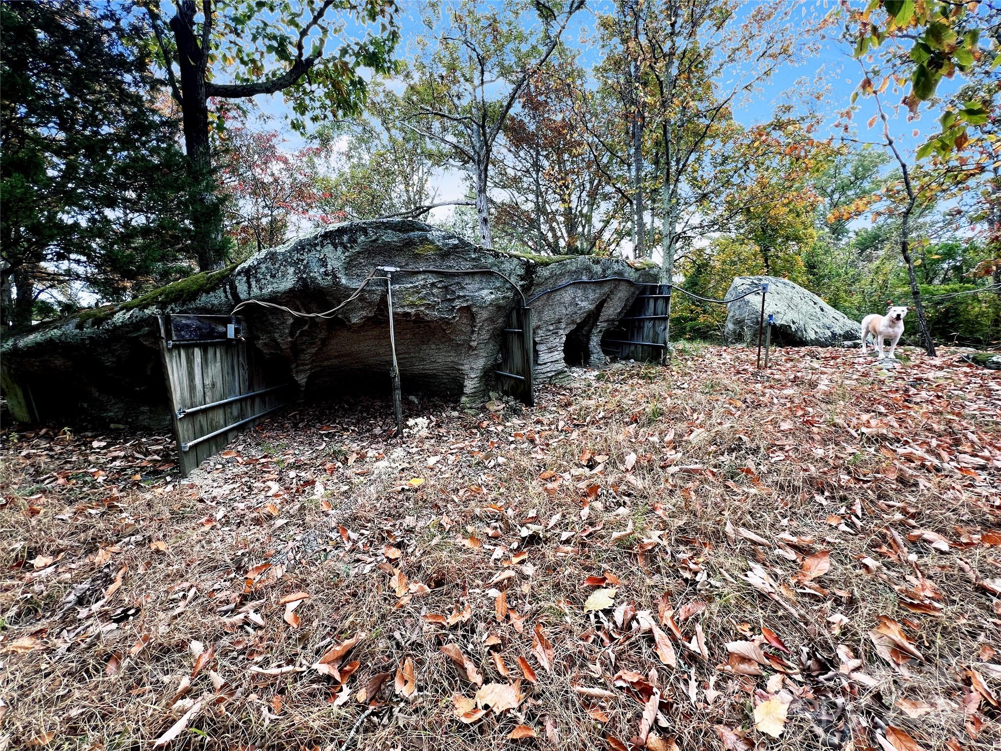 2814 Hart Road Clover, SC 29710 - Photo 14 of 28 a view of a backyard with a large tree