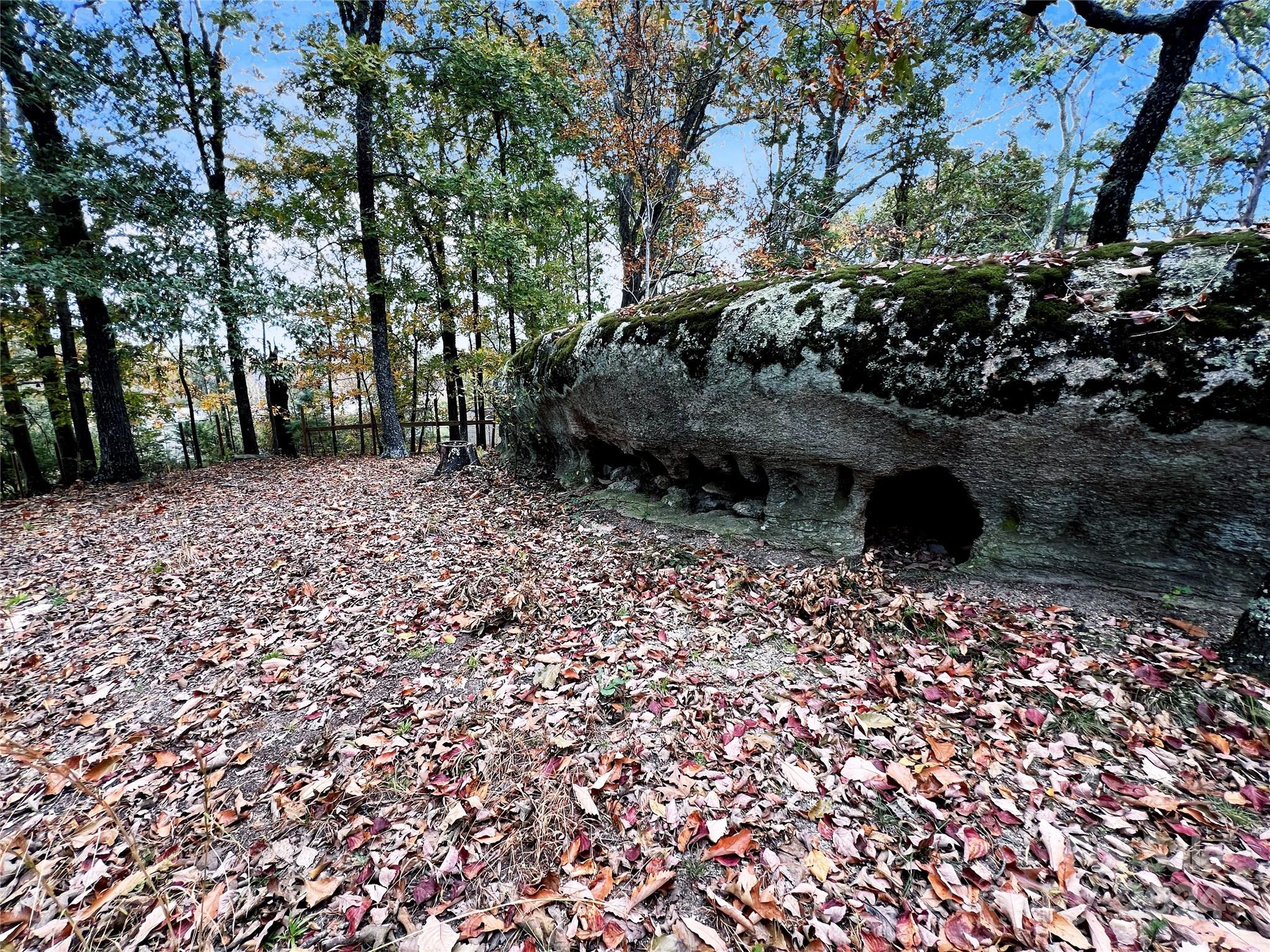 2814 Hart Road Clover, SC 29710 - Photo 15 of 28 a backyard of a house with lots of green space