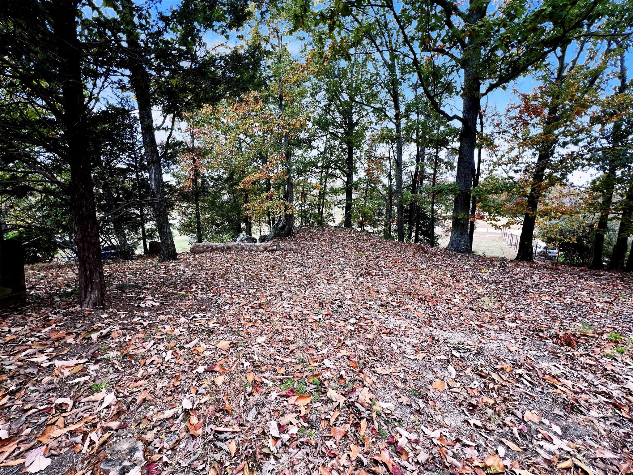 2814 Hart Road Clover, SC 29710 - Photo 16 of 28 a view of a tree in the middle of a yard