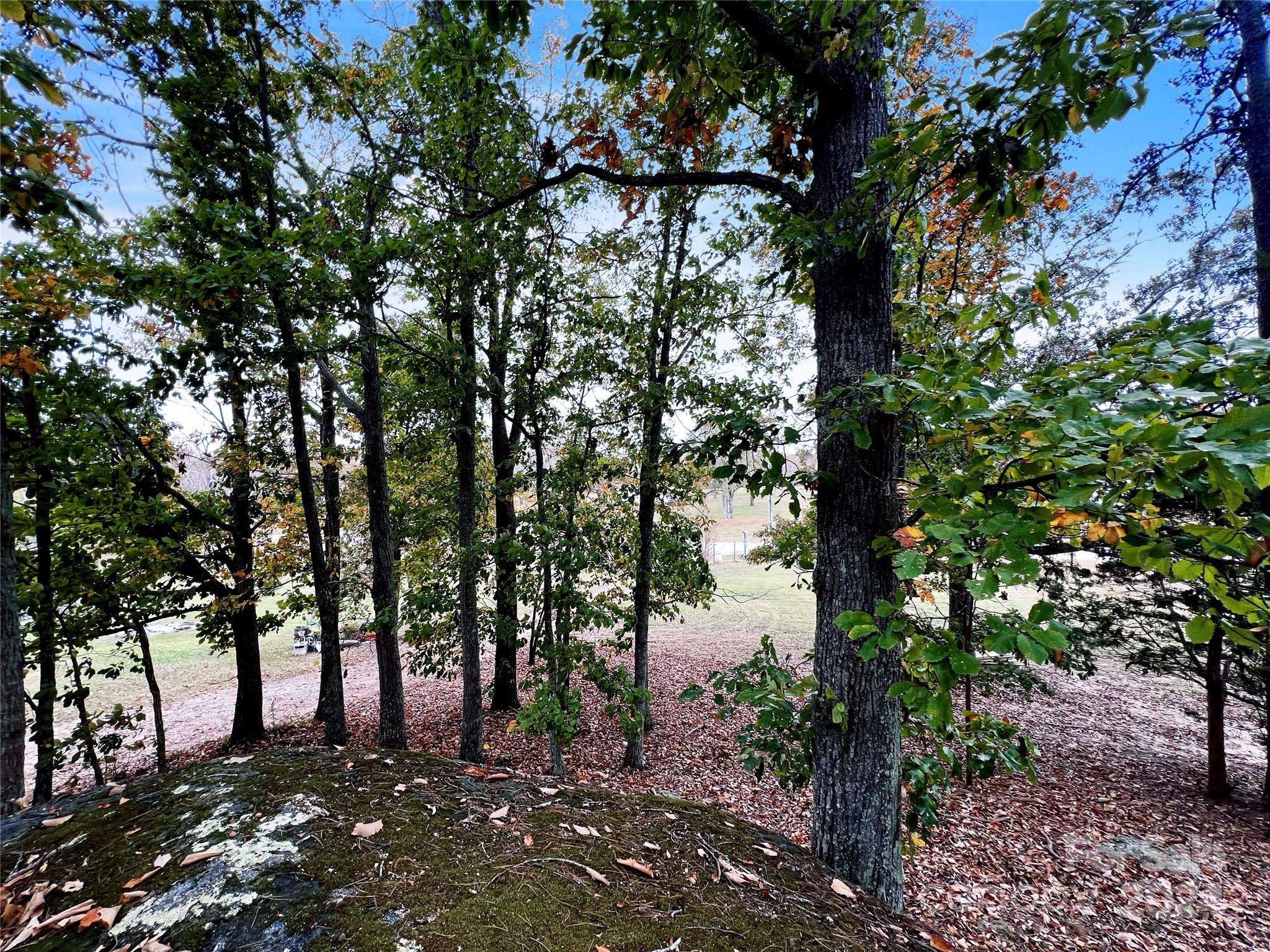2814 Hart Road Clover, SC 29710 - Photo 17 of 28 a view of a tree in a yard