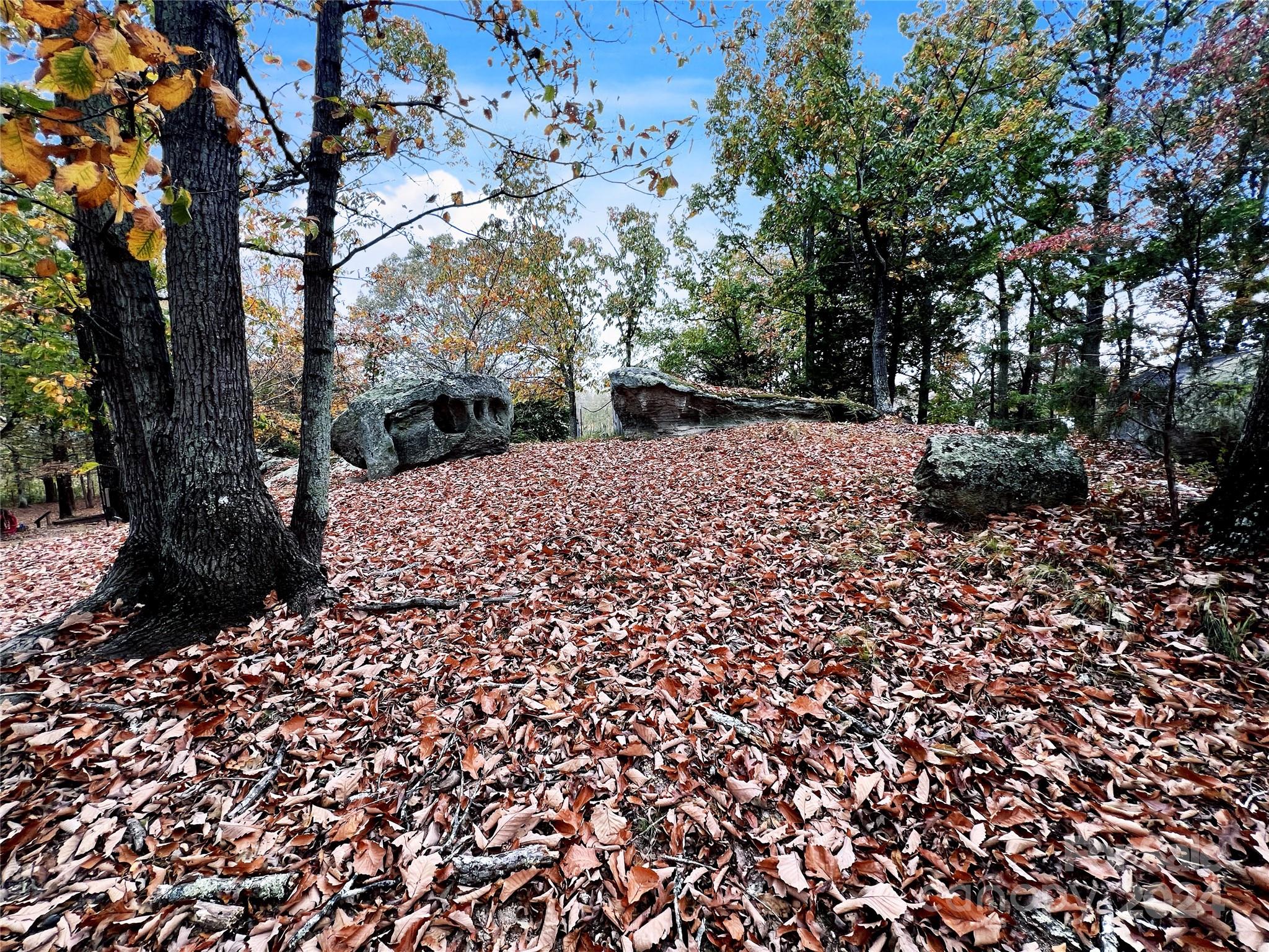 2814 Hart Road Clover, SC 29710 - Photo 8 of 28 a view of a backyard of the house
