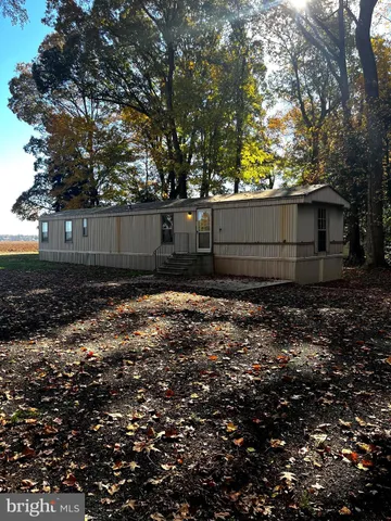 a view of backyard and trees