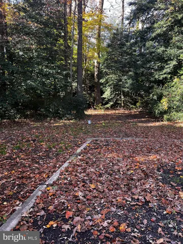 a view of a yard with large trees