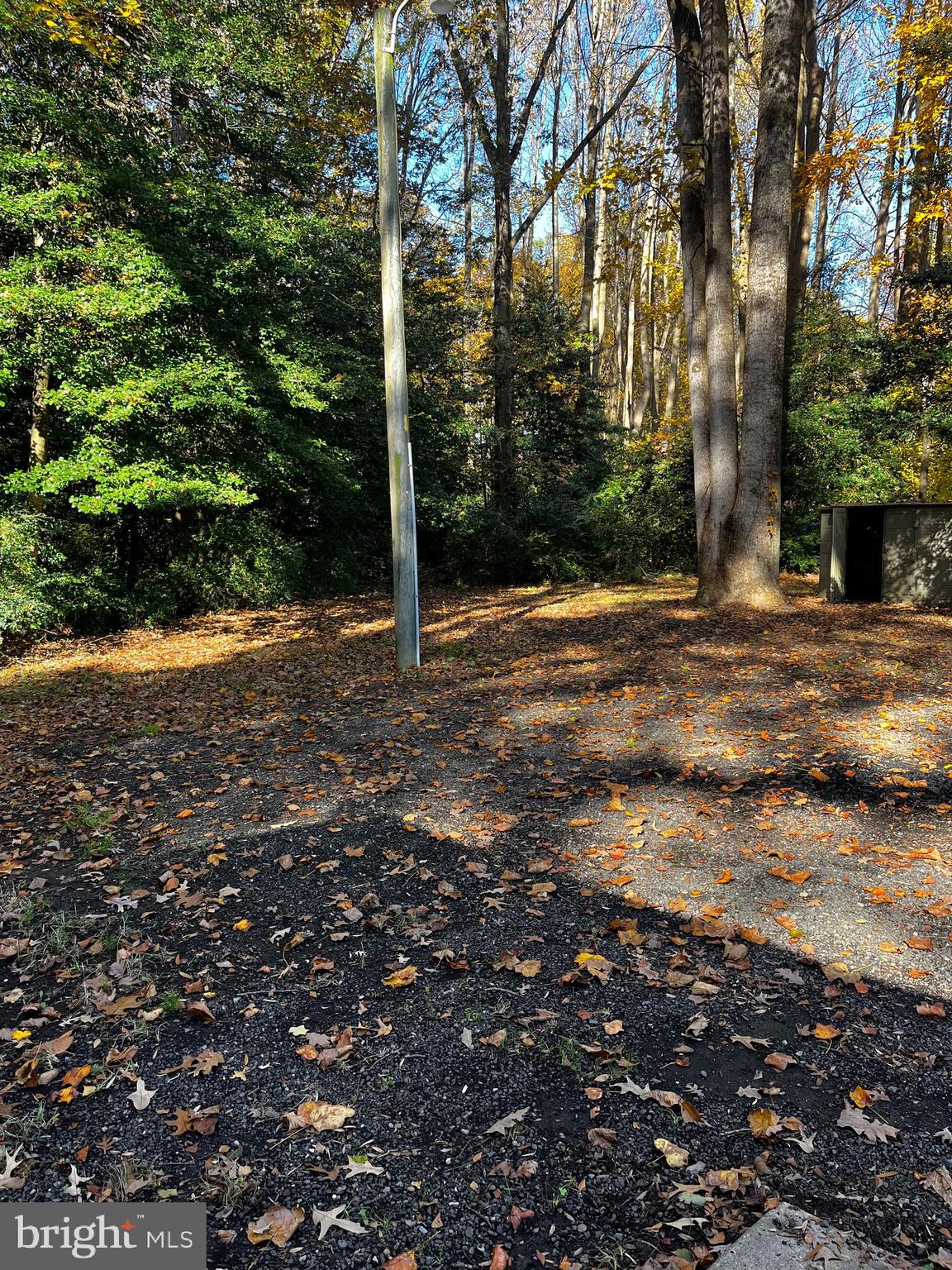 11248 Curt Dogg Road Lincoln, DE 19960 - Photo 5 of 18 a backyard of a house with lots of green space