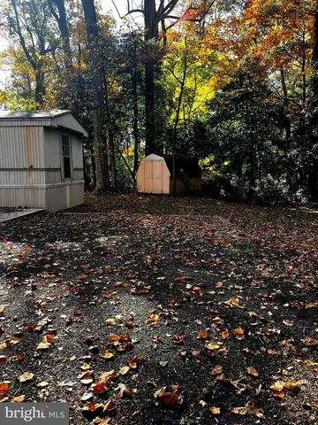 a backyard of a house with a tree