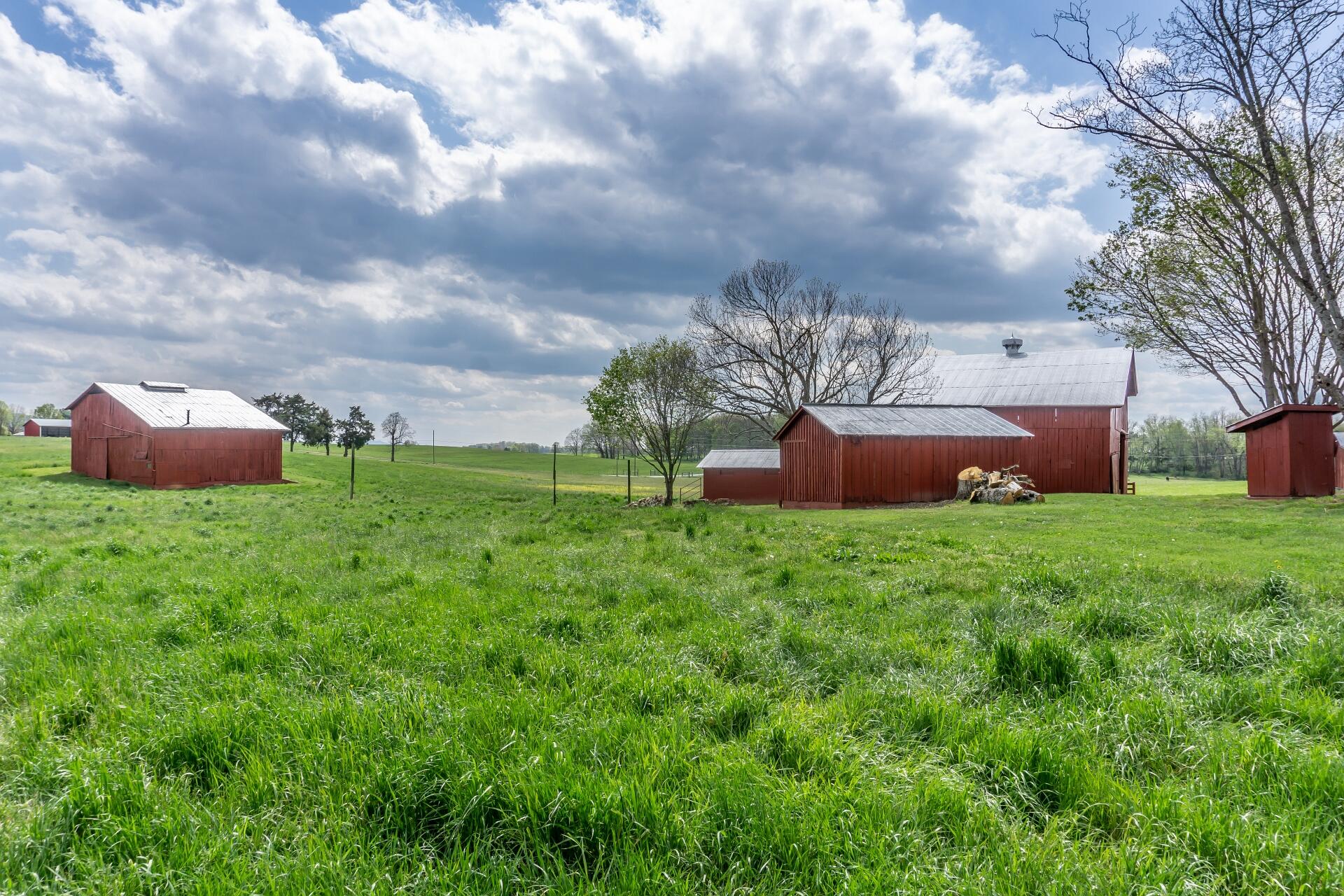 100 Brown Road Chuckey, TN 37641 - Photo 45 of 74 100Brown_050