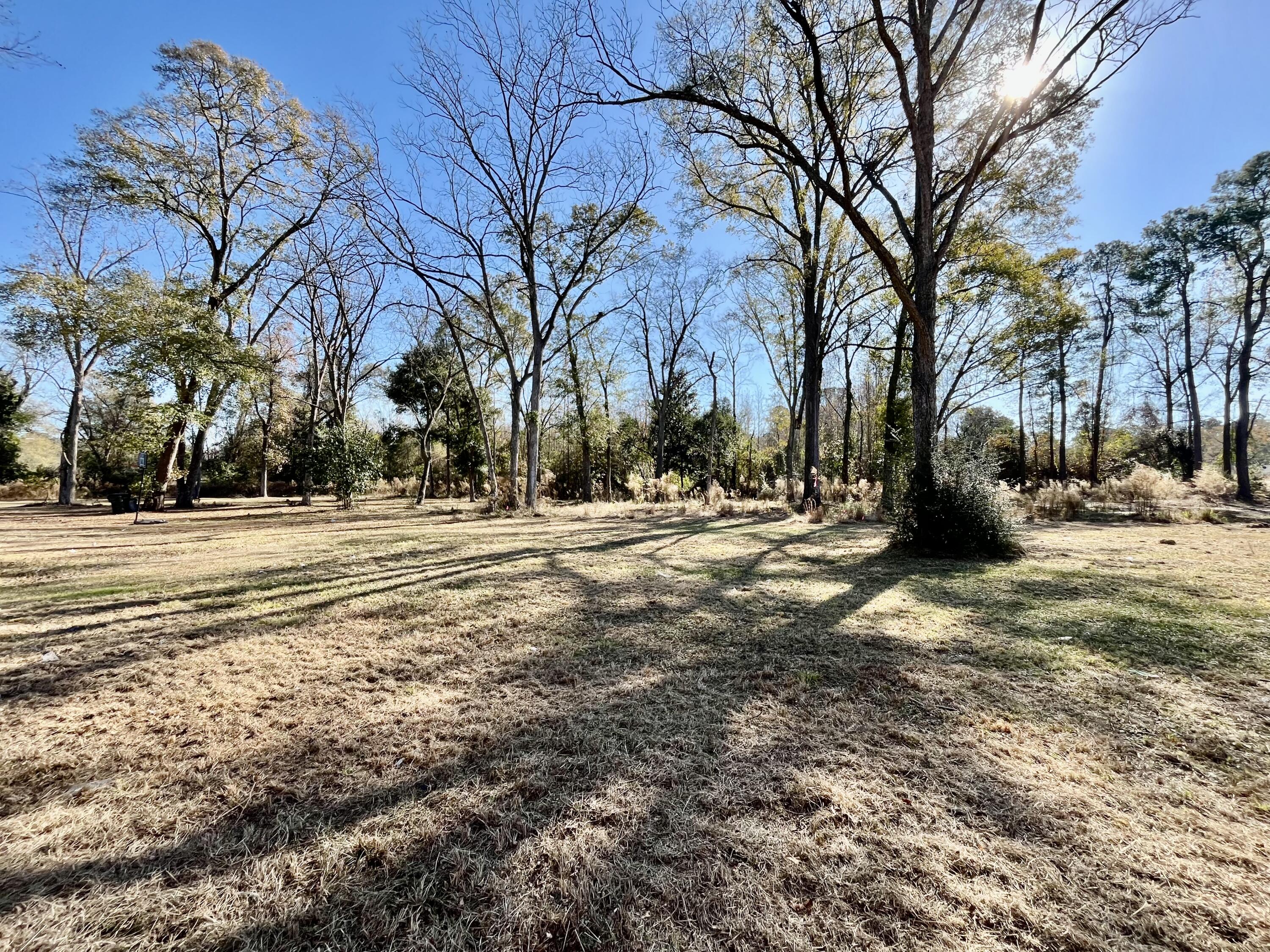 153 Tyler Road Orangeburg, SC 29115 - Photo 5 of 7 back yard
