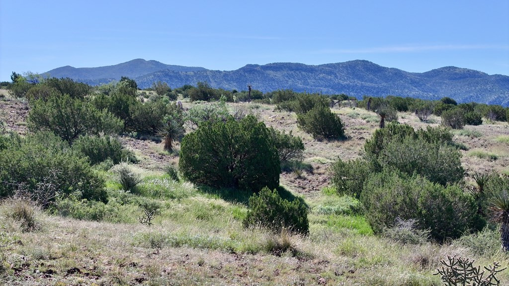 111 Sierra La Rana Alpine, TX 79830 - Photo 8 of 13 Photo 8