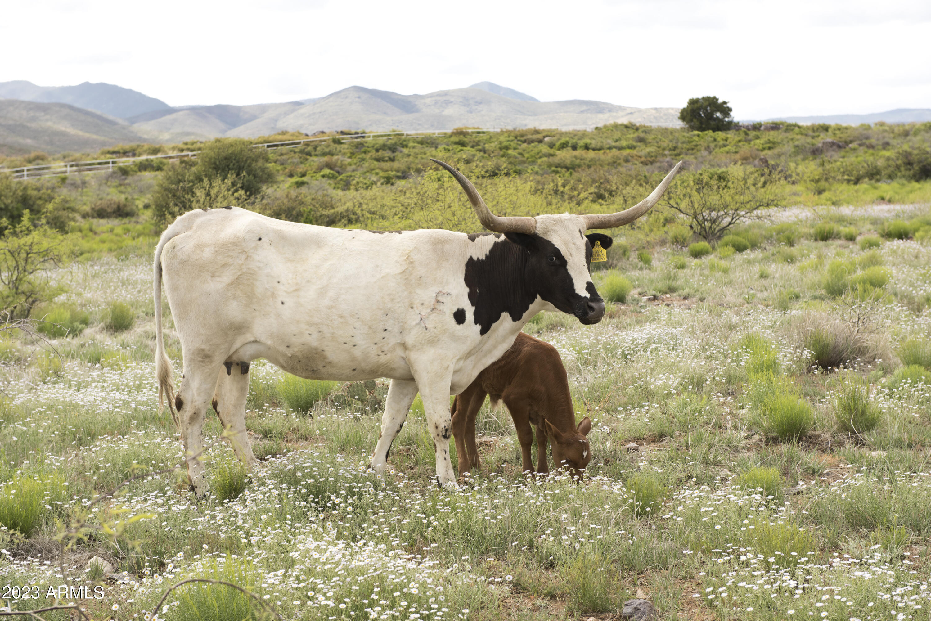 0 East No Name 60 Acers Road, Unit 1 Congress, AZ 85332 - Photo 7 of 7 a view of a house with a mountain and a forest