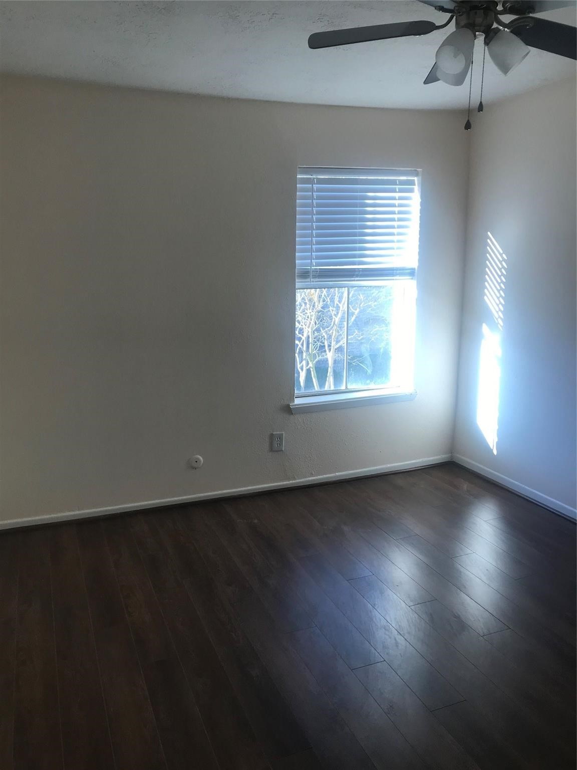 8646 Maplecrest Drive Houston, TX 77099 - Photo 9 of 13 an empty room with a window