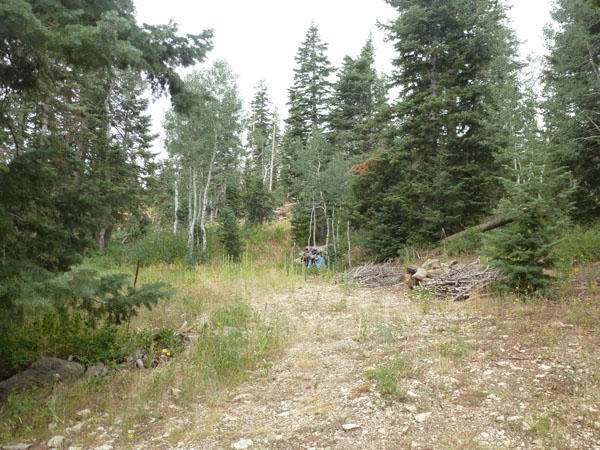 1- St Virgin Ut 84779 Springdale, UT 84767 - Photo 1 of 1 A - Trees on Property - View 1