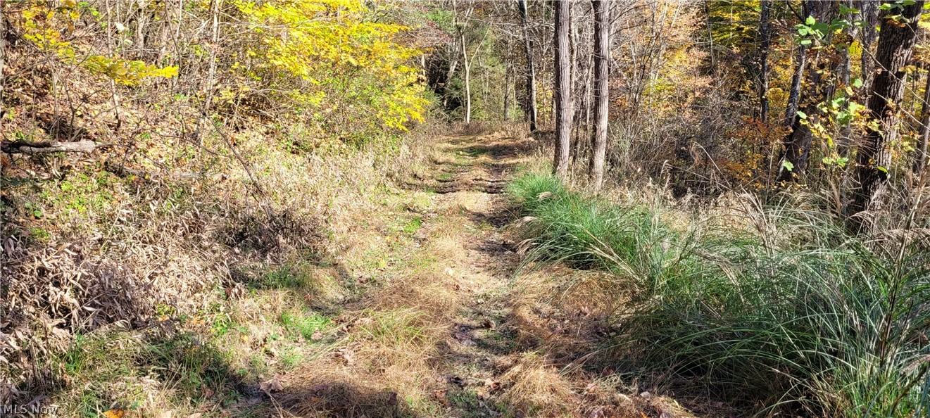 Duncan Run Road Philo, OH 43771 - Photo 7 of 32