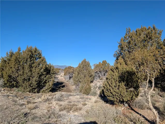 $80,000 | Ponderosa Pine, Pioche, NV 89043