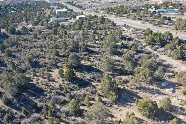 $80,000 | Ponderosa Pine, Pioche, NV 89043