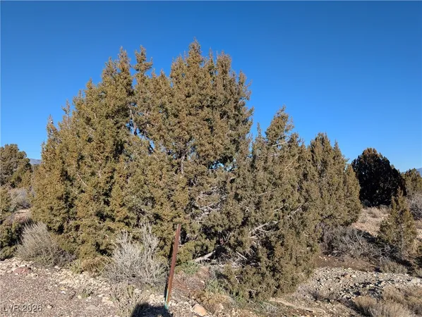 $75,000 | Ponderosa Pine, Pioche, NV 89043