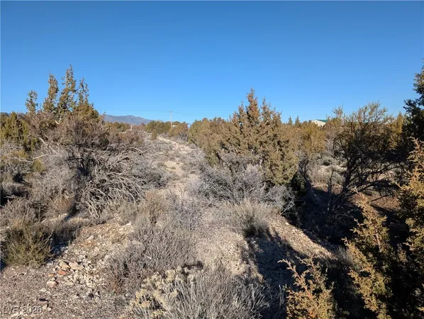 $75,000 | Ponderosa Pine, Pioche, NV 89043