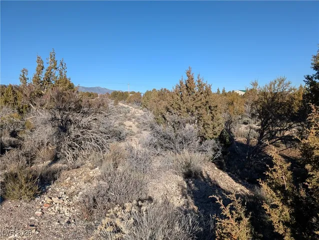 $80,000 | Ponderosa Pine, Pioche, NV 89043