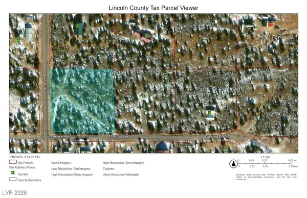 $75,000 | Ponderosa Pine, Pioche, NV 89043