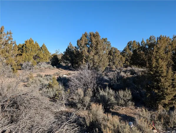 $75,000 | Ponderosa Pine, Pioche, NV 89043