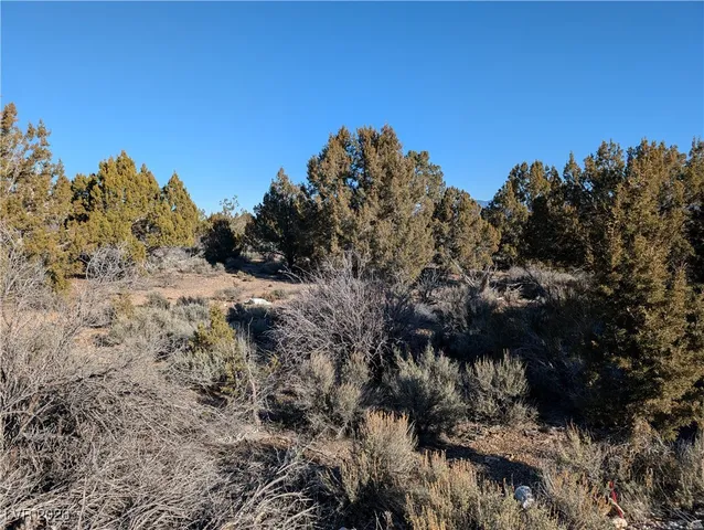 $80,000 | Ponderosa Pine, Pioche, NV 89043