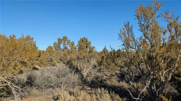 $75,000 | Ponderosa Pine, Pioche, NV 89043