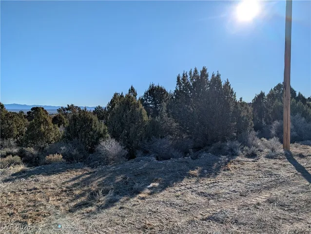 $80,000 | Ponderosa Pine, Pioche, NV 89043