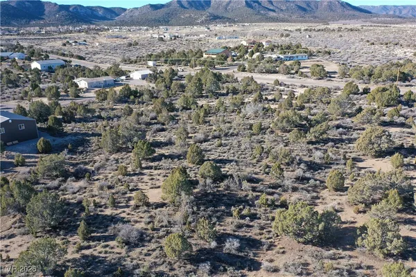 $75,000 | Ponderosa Pine, Pioche, NV 89043