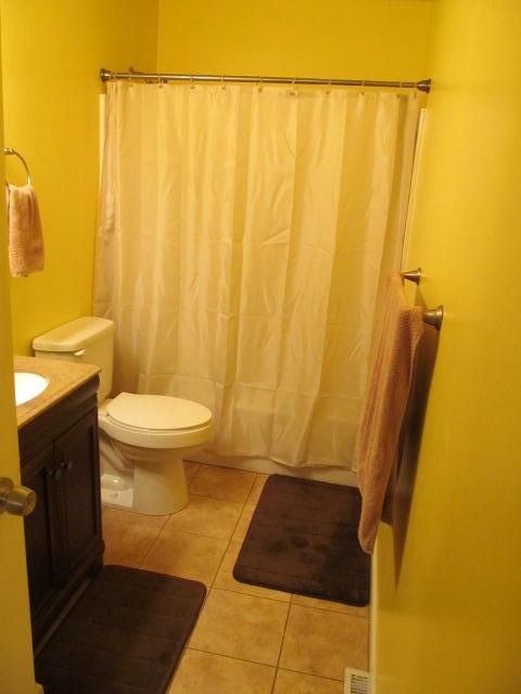 5305 Starkey Road Roanoke, VA 24018 - Photo 7 of 19 Full Bath