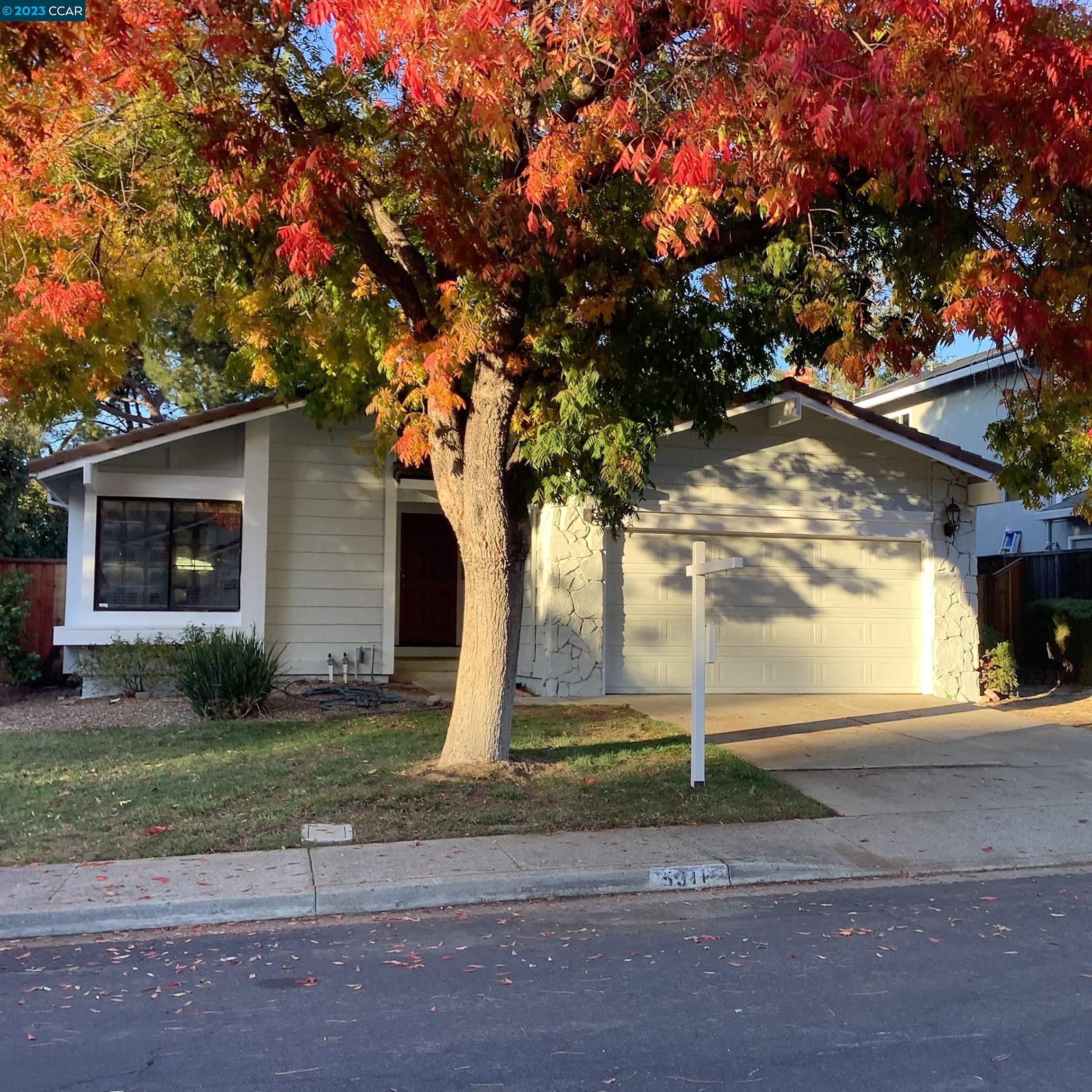 a tree in front of a house with a tree
