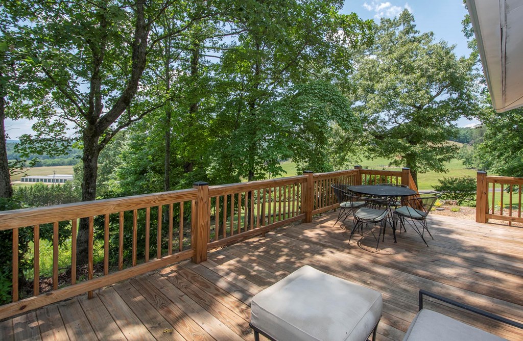 96 Scenic Road Warne, NC 28909 - Photo 17 of 45 Gallery Image 17