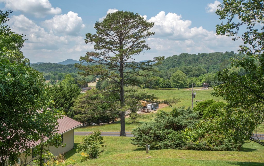 96 Scenic Road Warne, NC 28909 - Photo 4 of 45 Gallery Image 4