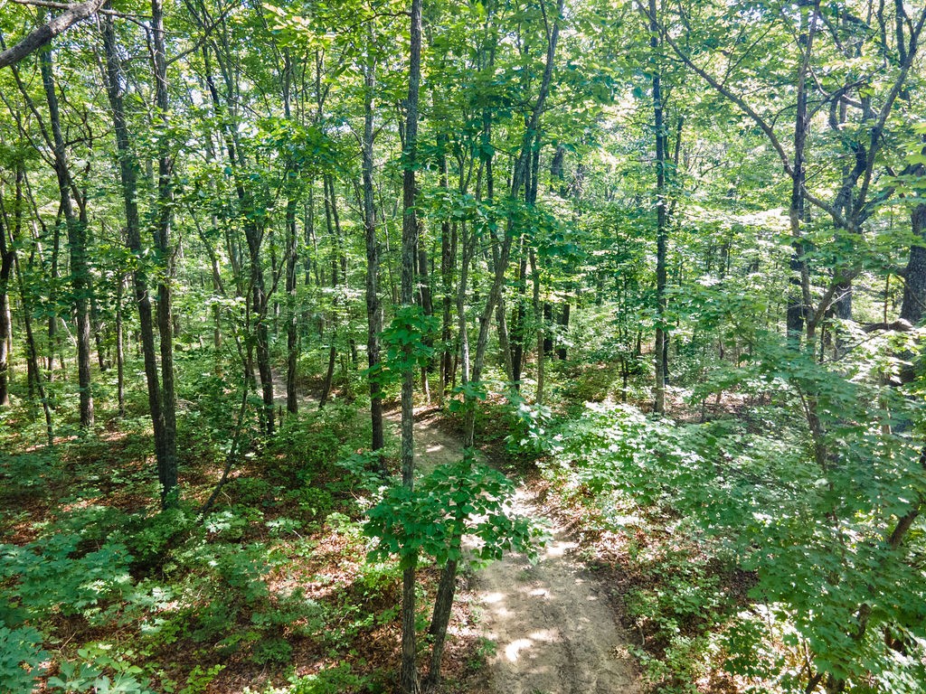 0 Valley View Drive Altamont, TN 37301 - Photo 14 of 23