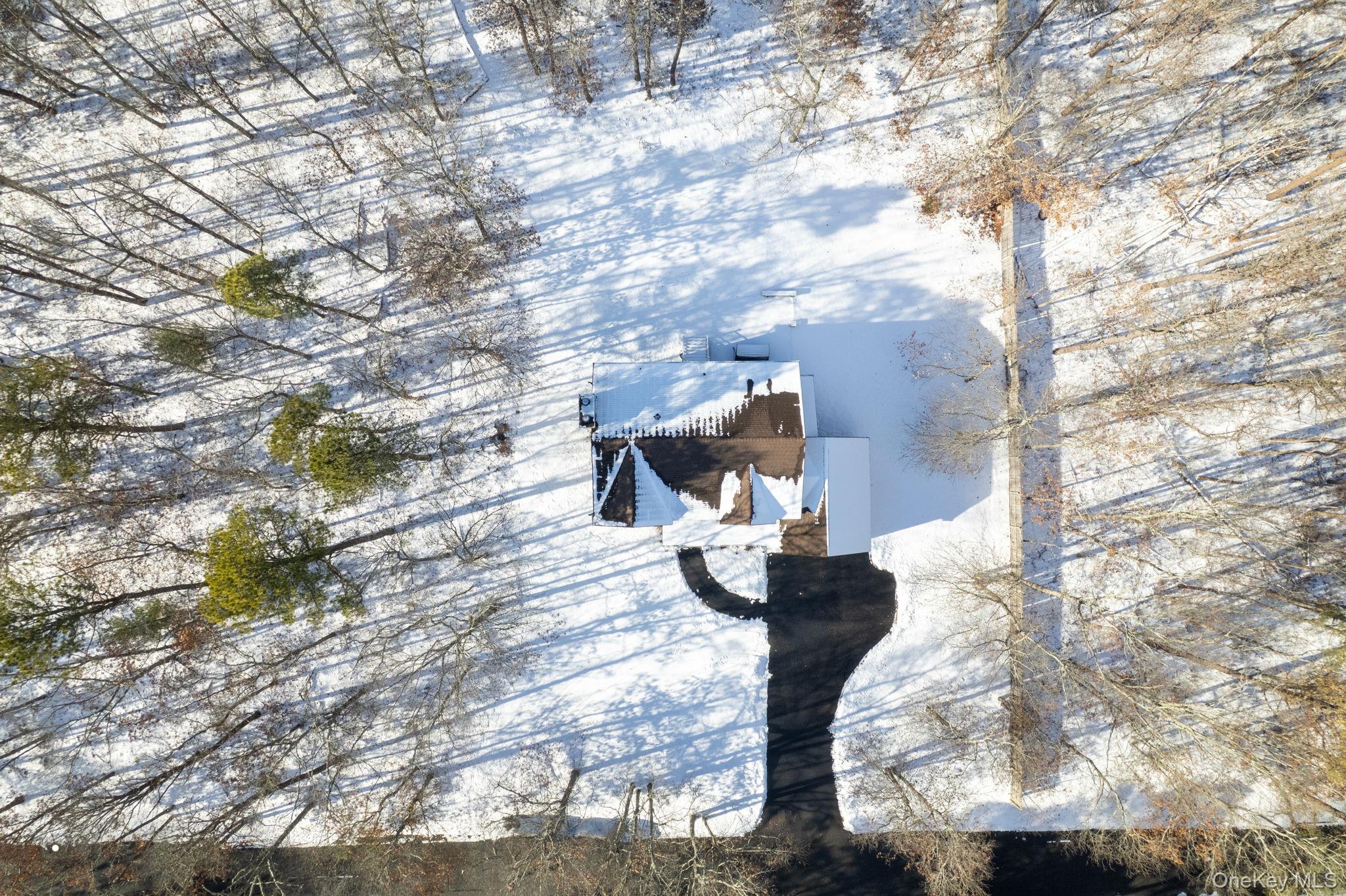 400 Eastport Manor Road Manorville, NY 11949 - Photo 27 of 29 a view of statue in middle of the forest