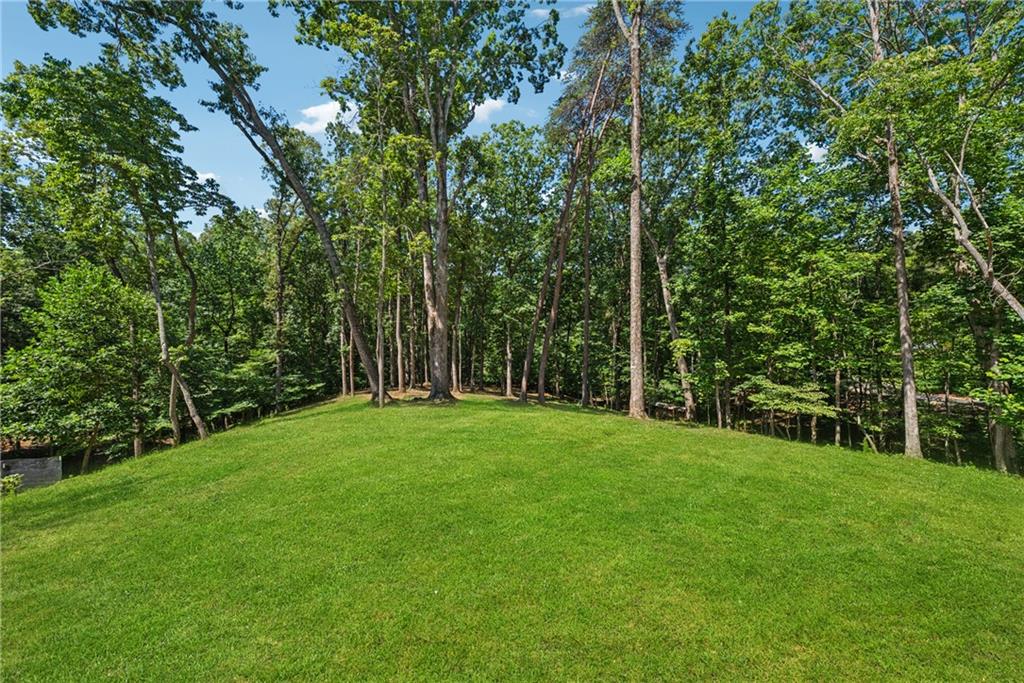 3394 Robinson Road Gainesville, GA 30506 - Photo 43 of 51 a view of a grassy field with trees in the background