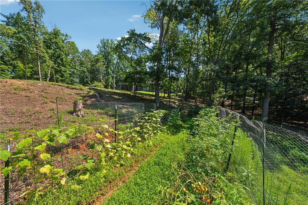 3394 Robinson Road Gainesville, GA 30506 - Photo 45 of 51 a view of a lake with large trees