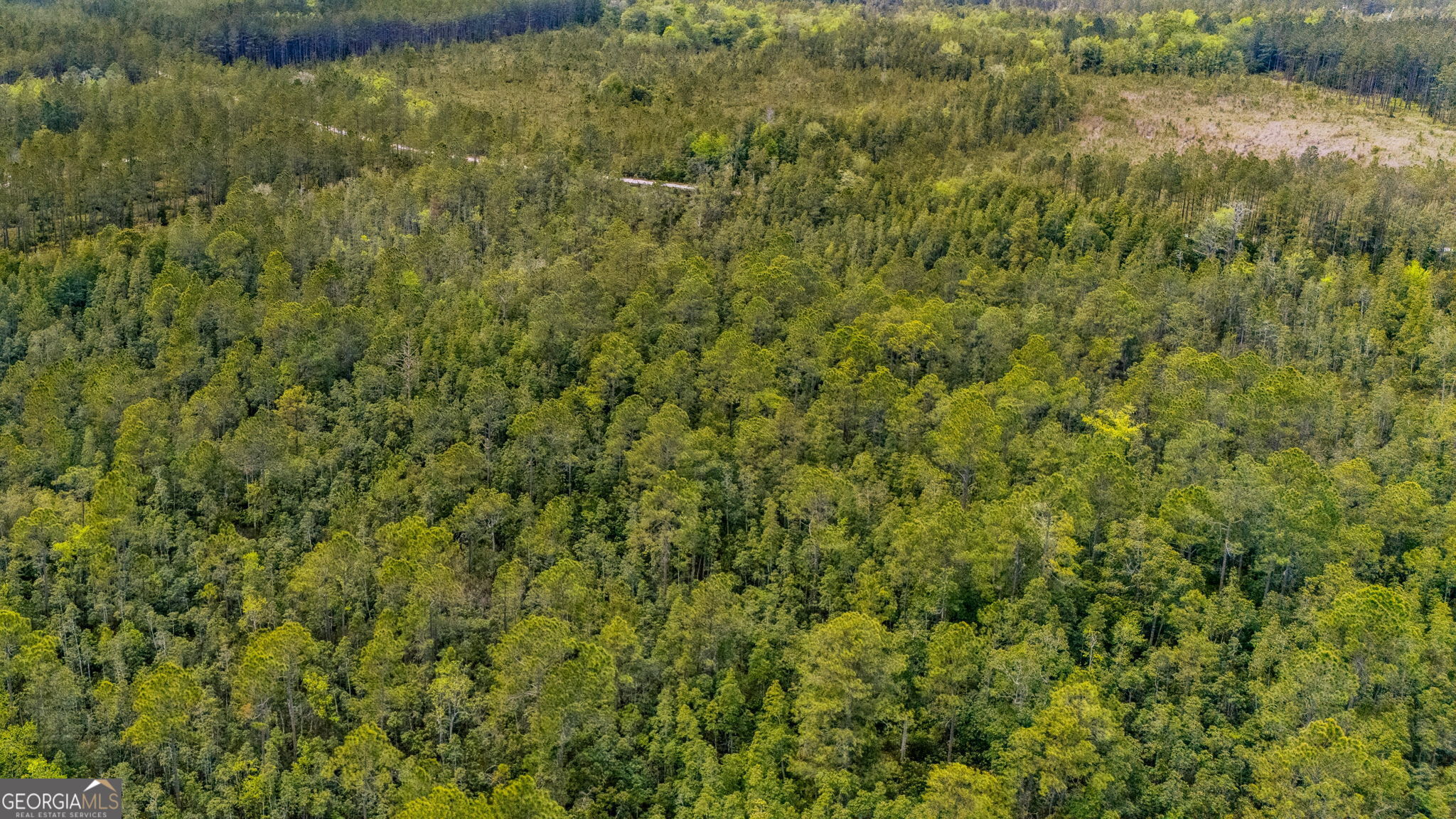 V/l 102 Old Reserve Road Waverly, GA 31565 - Photo 13 of 17 a view of a bunch of trees and bushes