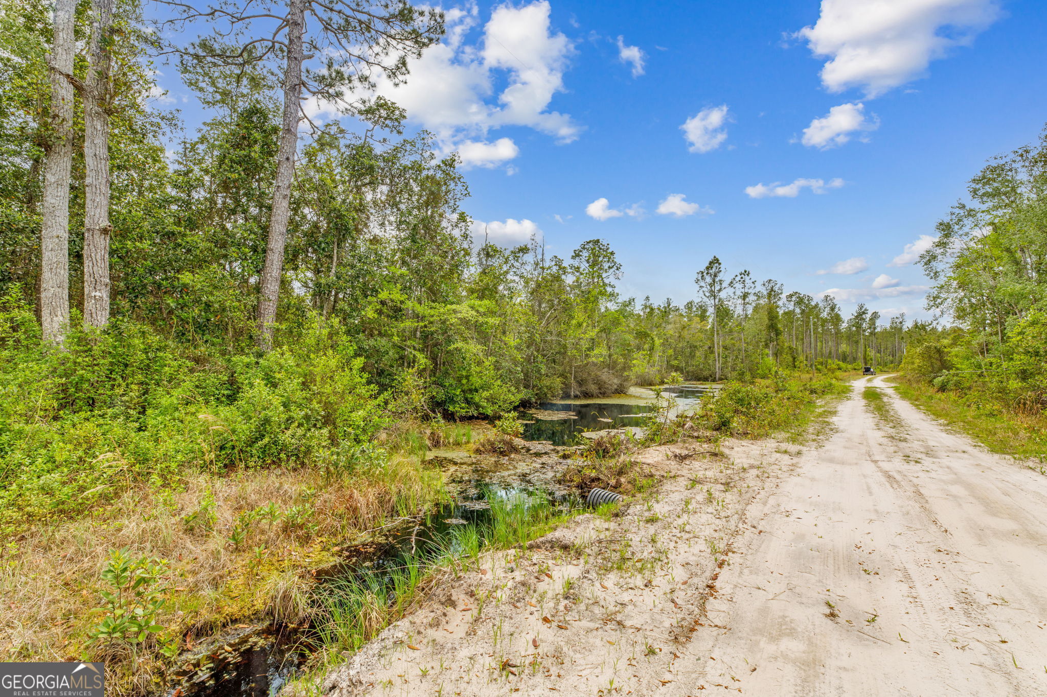 V/l 102 Old Reserve Road Waverly, GA 31565 - Photo 5 of 17 a view of a yard with trees