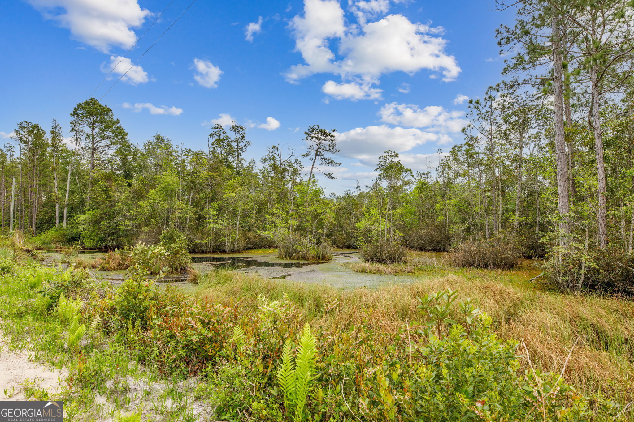 V/l 102 Old Reserve Road Waverly, GA 31565 - Photo 6 of 17 a view of a large yard with lots of green space