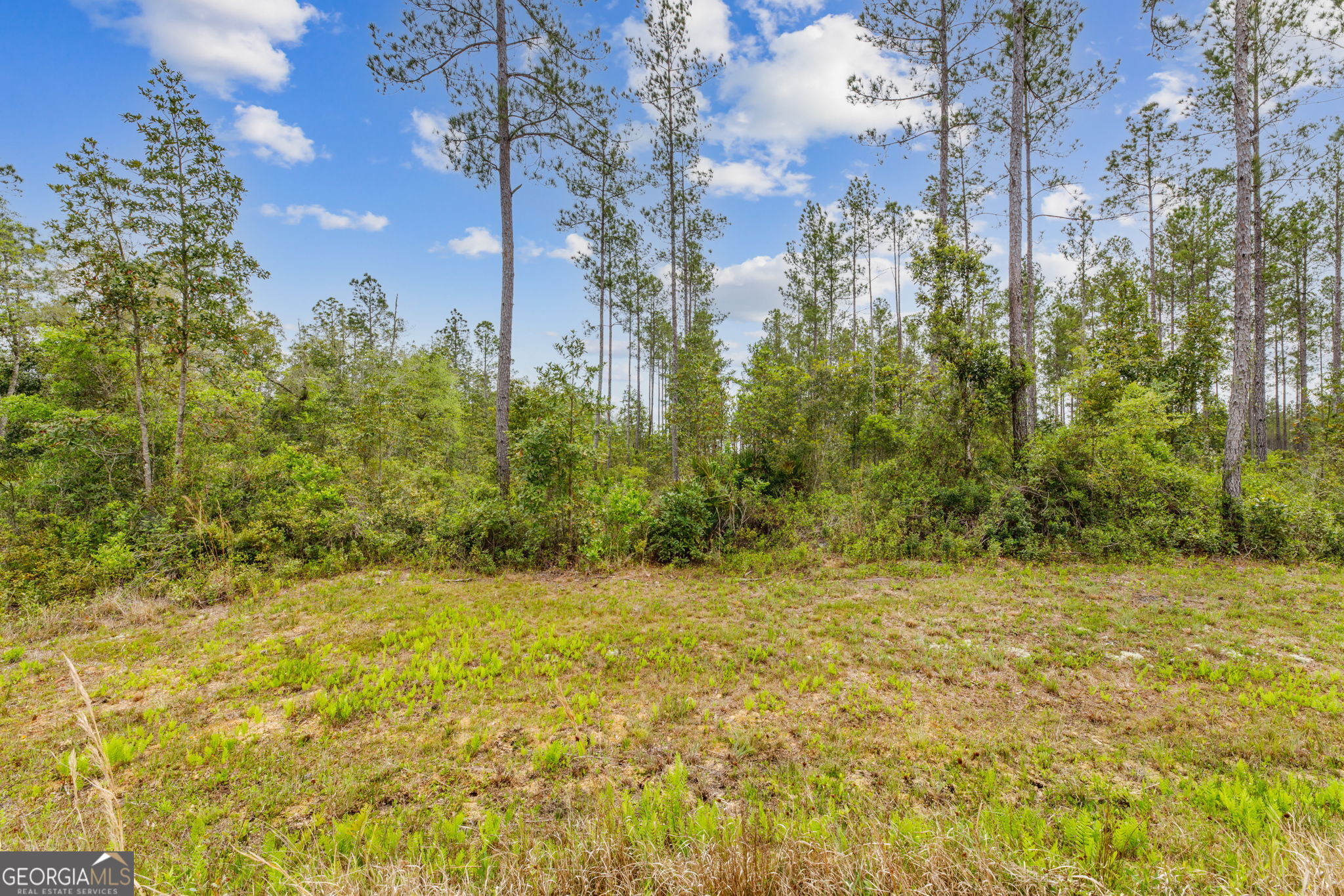 V/l 102 Old Reserve Road Waverly, GA 31565 - Photo 7 of 17 a view of a yard with yellow house