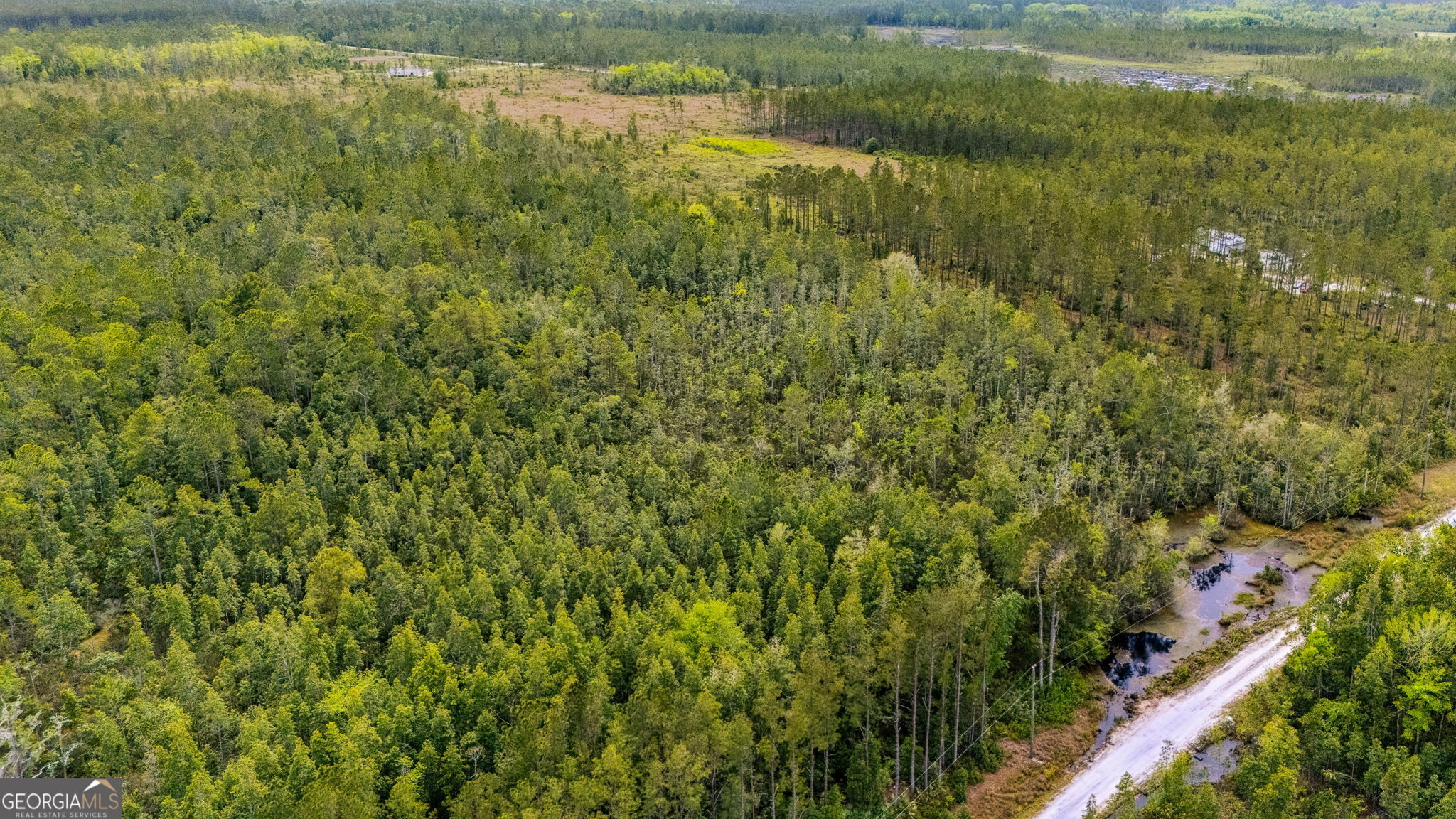 V/l 102 Old Reserve Road Waverly, GA 31565 - Photo 9 of 17 a view of a lush green forest with houses