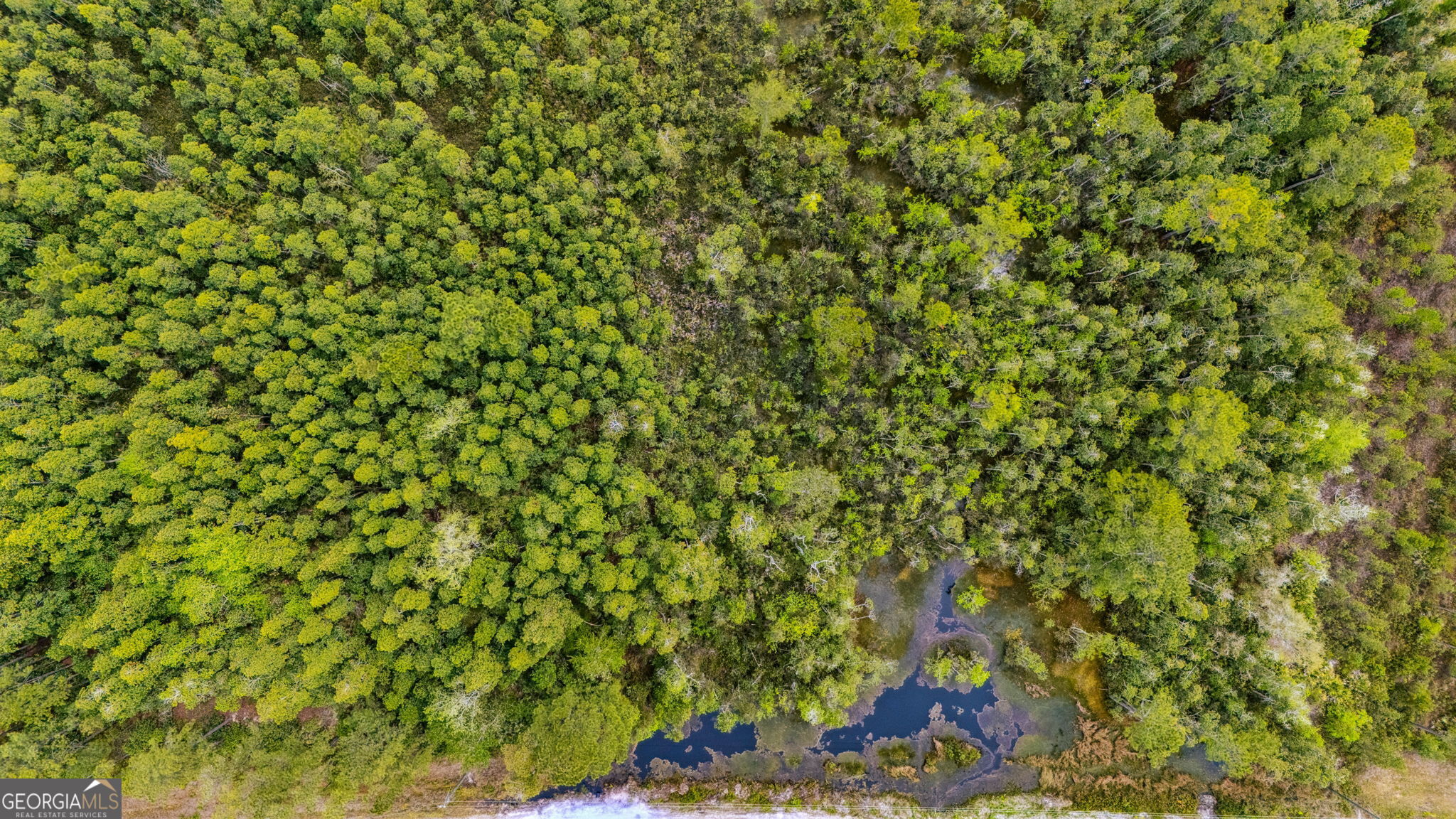 V/l 102 Old Reserve Road Waverly, GA 31565 - Photo 10 of 17 a view of a tree with a wooden wall