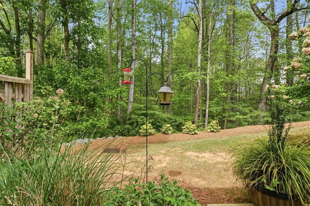 1114 Firethorne Pass Cumming, GA 30040 - Photo 31 of 43 a view of a yard with plants and trees